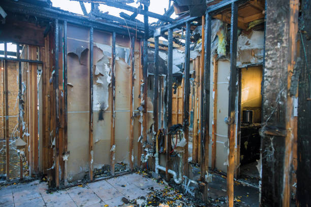 Professional Smoke Damage Removal technician working in Walworth, WI